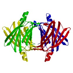 Image of CATH 2igl