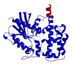 Image of CATH 2ihb