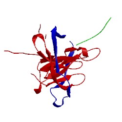 Image of CATH 2ijo