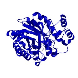 Image of CATH 2ikj