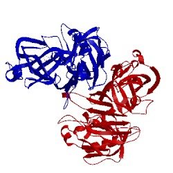 Image of CATH 2iko