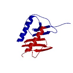 Image of CATH 2il8