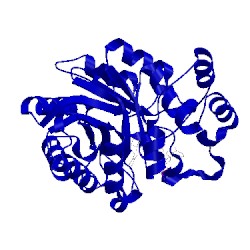 Image of CATH 2inz