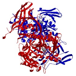 Image of CATH 2io9