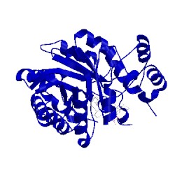 Image of CATH 2ipw