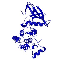 Image of CATH 2itt