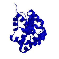 Image of CATH 2iu1