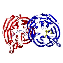Image of CATH 2iuv