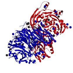 Image of CATH 2iwk