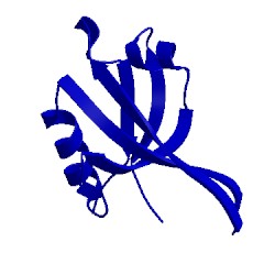Image of CATH 2iwn