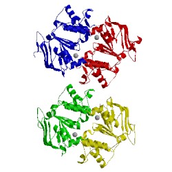 Image of CATH 2ixf