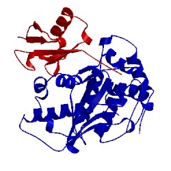 Image of CATH 2iy0