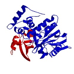 Image of CATH 2iyd