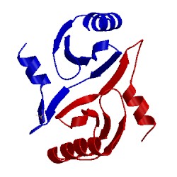 Image of CATH 2iyj