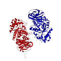 Image of CATH 2j25