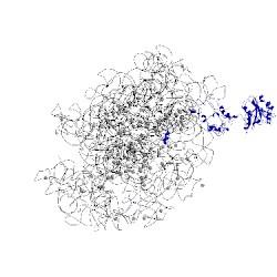 Image of CATH 2j28