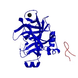 Image of CATH 2j34