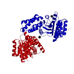 Image of CATH 2j45