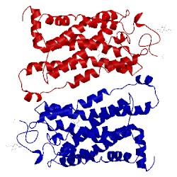 Image of CATH 2j4y