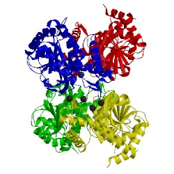 Image of CATH 2j5q