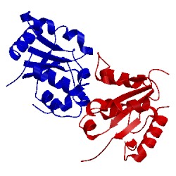 Image of CATH 2j67