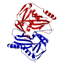 Image of CATH 2j8q
