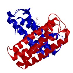 Image of CATH 2j8w