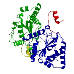 Image of CATH 2j8x