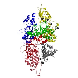 Image of CATH 2j9l