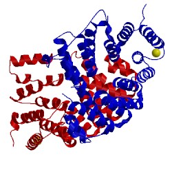 Image of CATH 2j9q