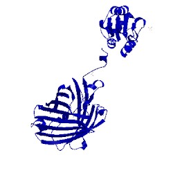 Image of CATH 2jad