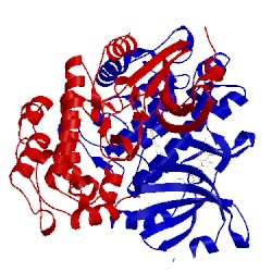 Image of CATH 2jam