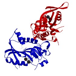 Image of CATH 2jbh