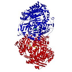 Image of CATH 2jbu