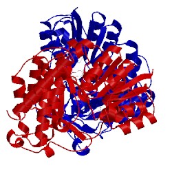 Image of CATH 2jcv