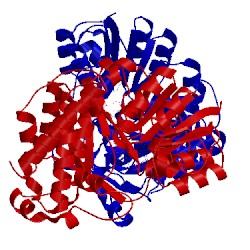Image of CATH 2jcx