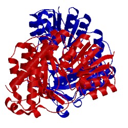 Image of CATH 2jcy