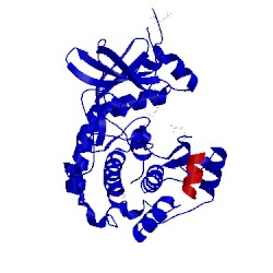 Image of CATH 2jds