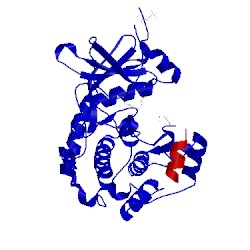 Image of CATH 2jdt