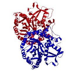 Image of CATH 2jf6