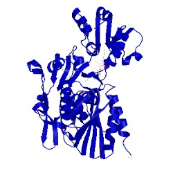 Image of CATH 2jfg