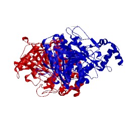 Image of CATH 2jgk