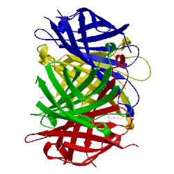 Image of CATH 2jgs