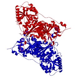 Image of CATH 2ji9