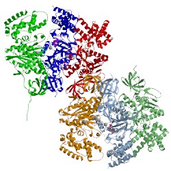 Image of CATH 2jj2