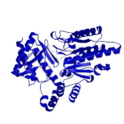 Image of CATH 2jjg