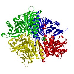 Image of CATH 2jjk
