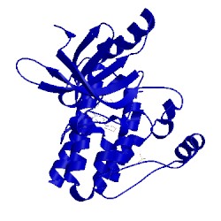 Image of CATH 2jkk