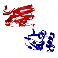 Image of CATH 2jkw