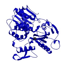 Image of CATH 2jlq